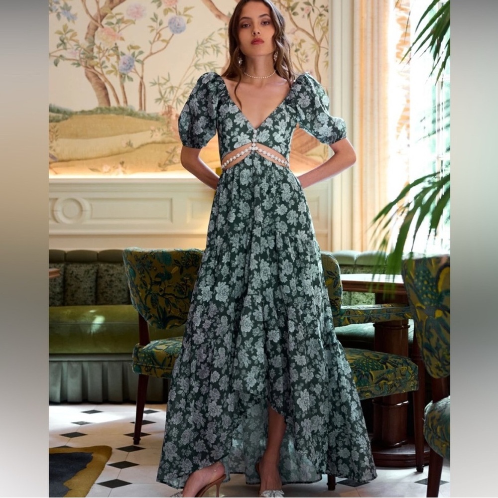 NWT V Chapman dress